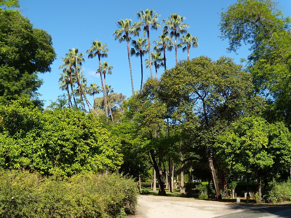 Parque de María Luisa