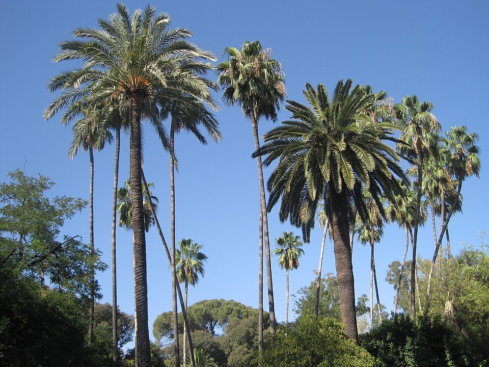 Parque de María Luisa
